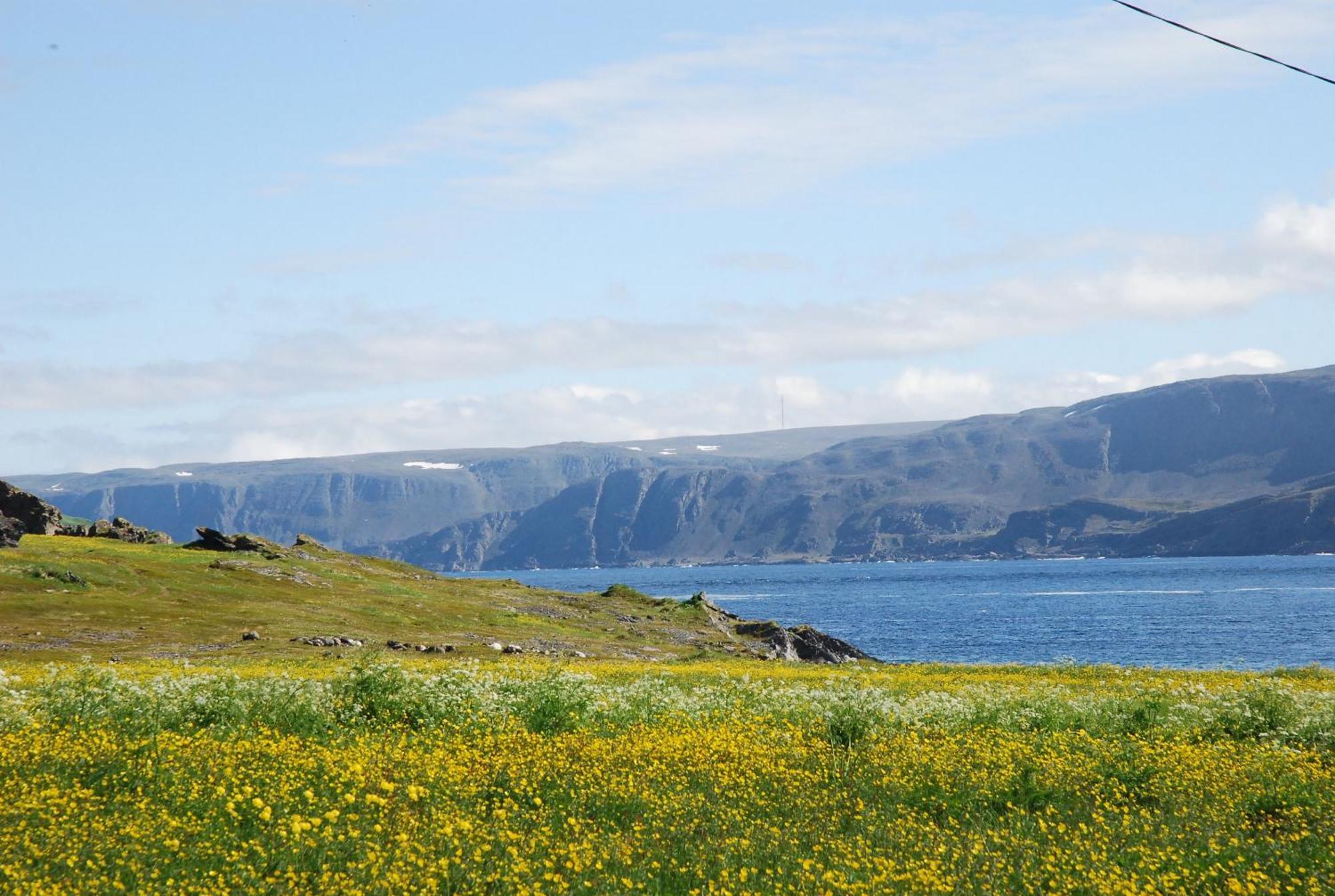Kongsfjord Holiday Home Exterior foto
